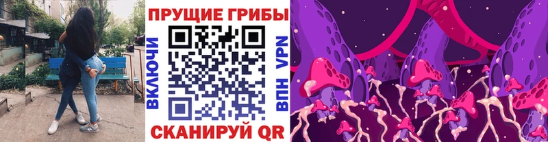 где найти блэк спрут ONION Галлюциногенные грибы Cubensis Кадников